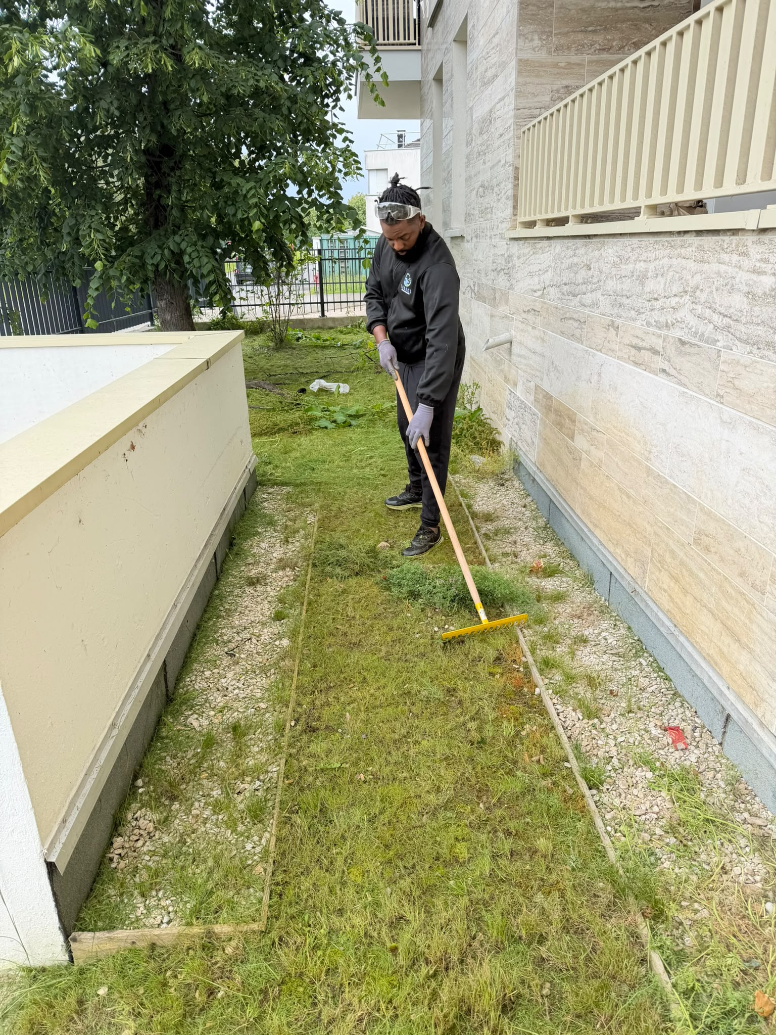 Tonte et entretien pelouse
