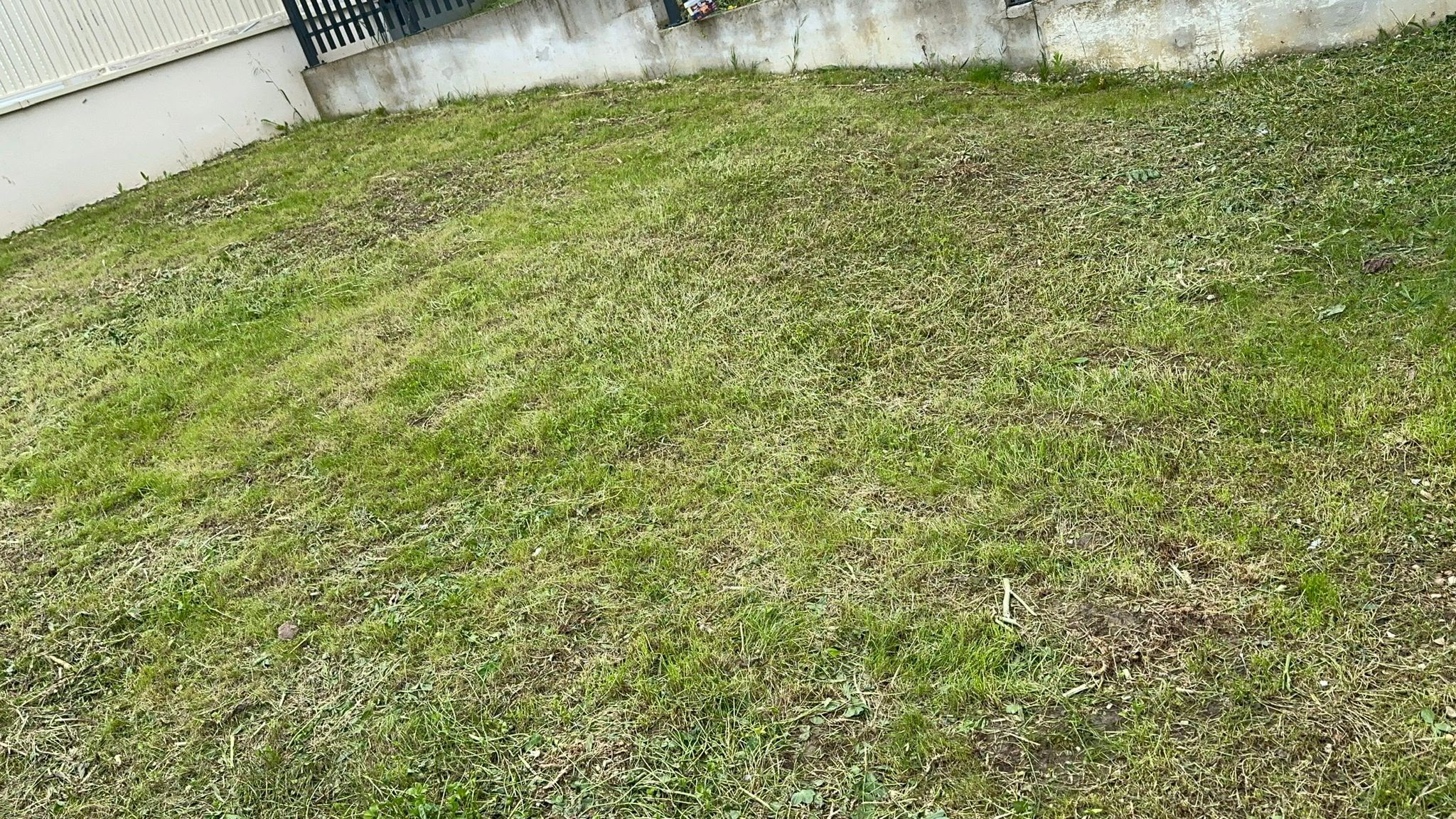 Ratissage espace vert résidentiel